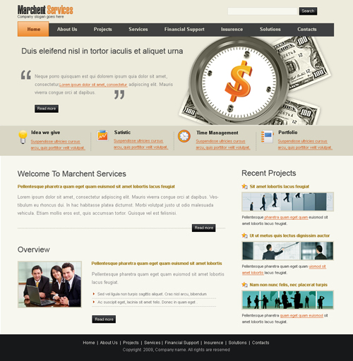 Website laten maken met Ecommerce en Financiën 278 webdesign